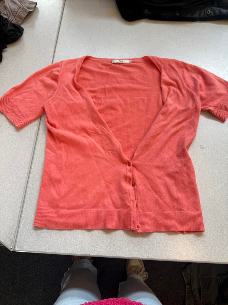 Koraalrood vestje met korte mouwen, Kleding | Dames, Ophalen, Gedragen, Maat 42/44 (L), Overige kleuren