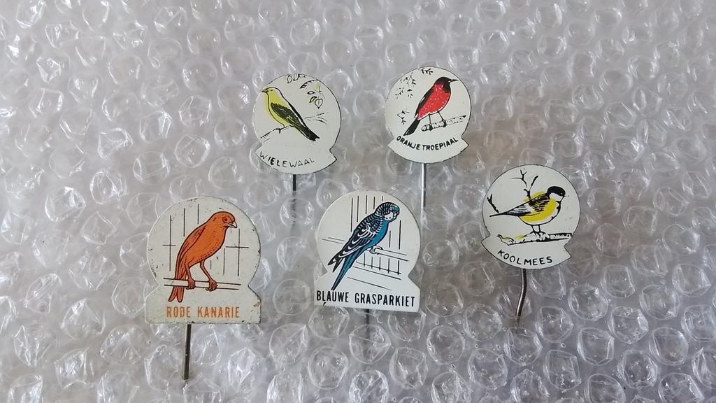 5 verschillende speldjes vogels, Ophalen of Verzenden, Zo goed als nieuw