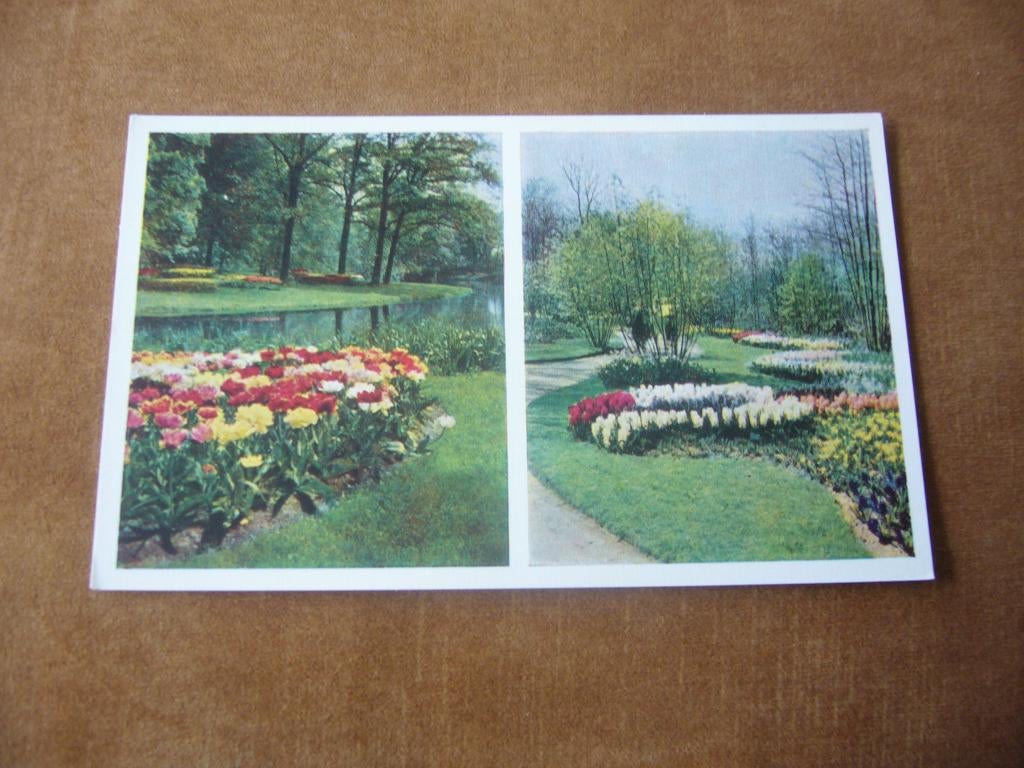 LISSE  =  2 LUIK VAN KEUKENHOF, Ophalen of Verzenden, 1940 tot 1960, Ongelopen