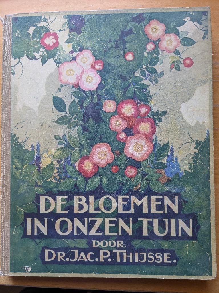 Verkade album, Boeken, Prentenboeken en Plaatjesalbums, Ophalen of Verzenden, Gelezen, Jac. P. Thijsse, Plaatjesalbum