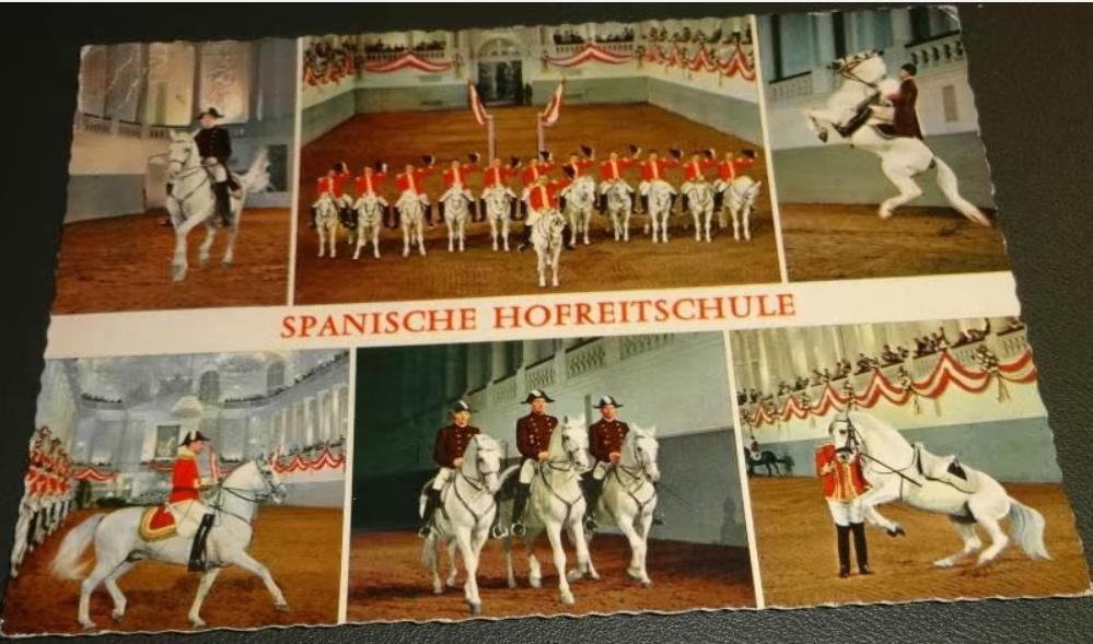 Paarden - Spanische Hofreitschule, Verzamelen, Verzenden, 1980 tot heden, Gelopen, Paard