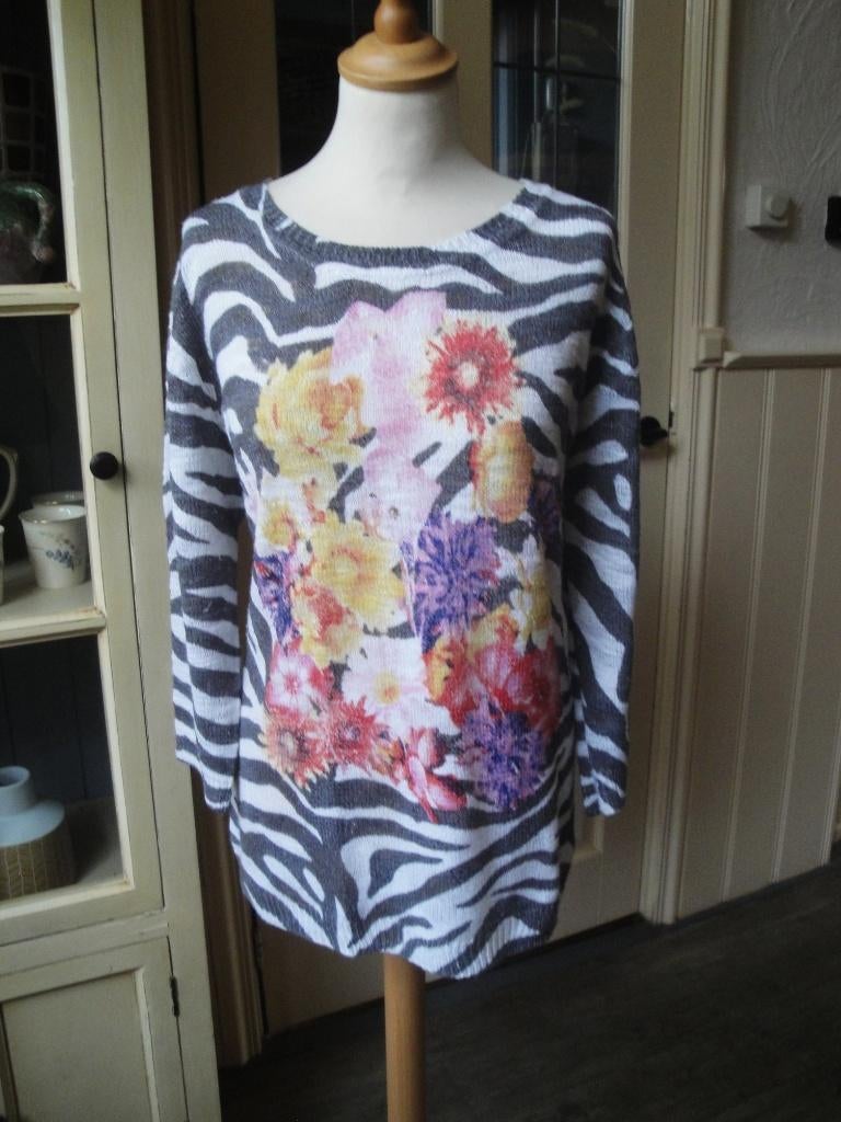 Trui van ROBERTO SARTO maat 44, Kleding | Dames, Overige kleuren, Maat 42/44 (L), Ophalen of Verzenden, Zo goed als nieuw