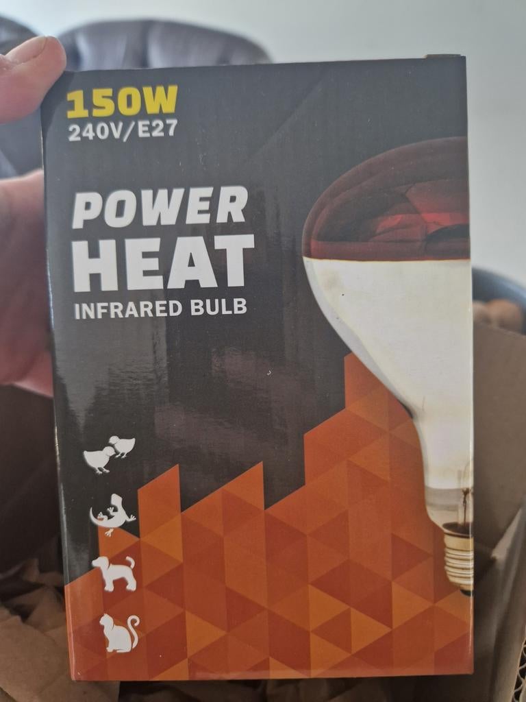 Warmtelamp armatuur met bulb nieuw, Dieren en Toebehoren, Ophalen of Verzenden, Nieuw