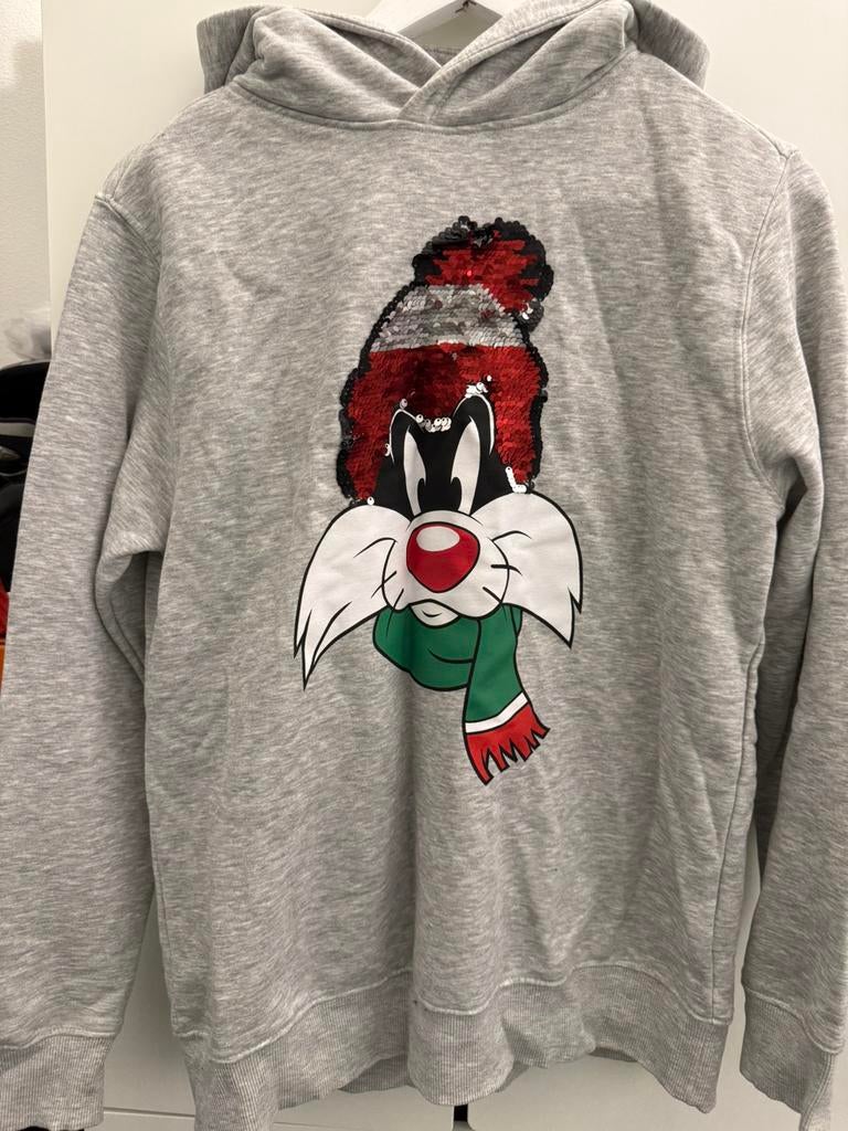 Zara Kids Collection Looney Tunes Trui, Ophalen of Verzenden, Nieuw, Maat 34 (XS) of kleiner, Grijs
