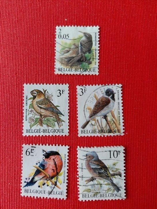 belgique-Belgie vogels, Ophalen of Verzenden, Dier of Natuur