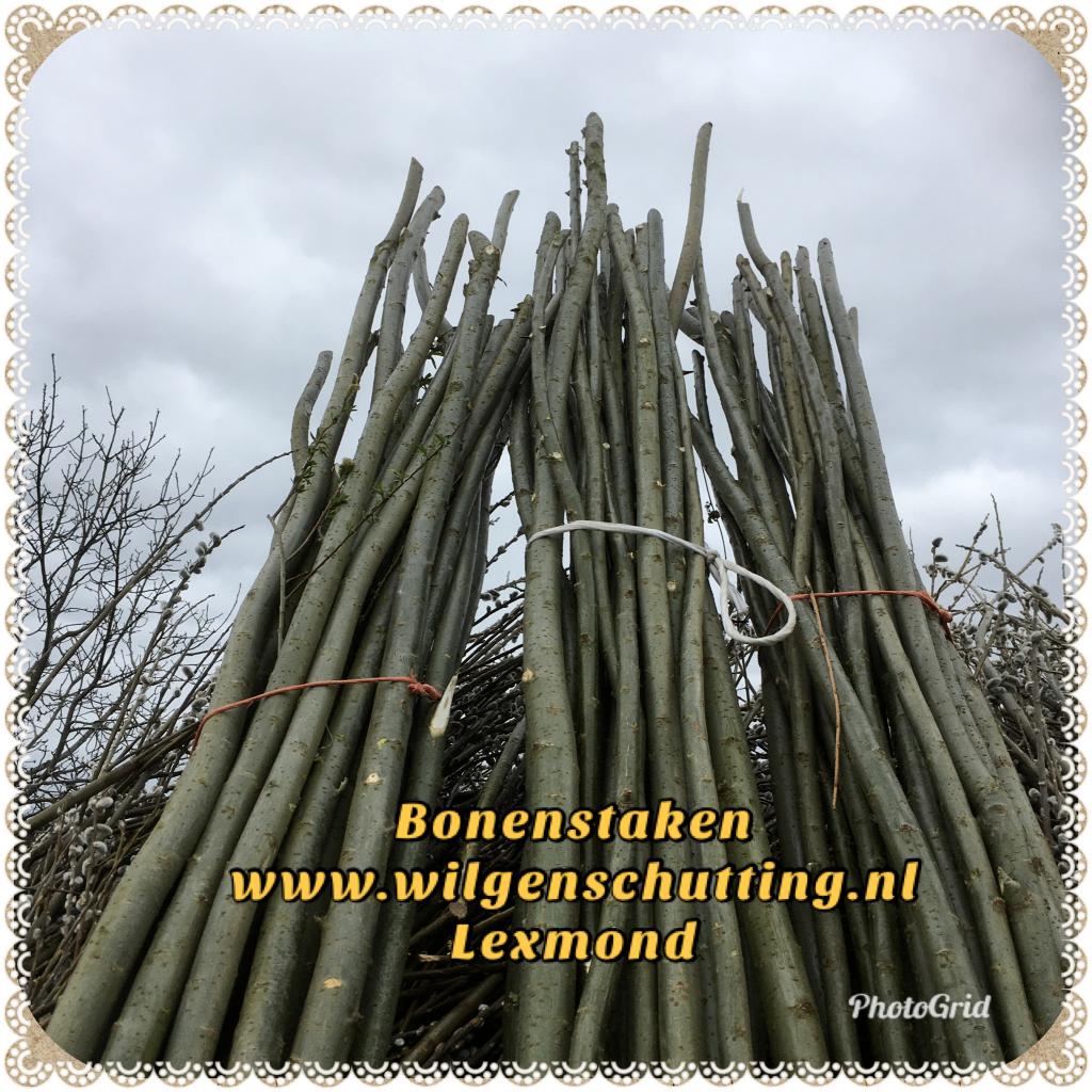 Bonenstaken., Ophalen, Nieuw