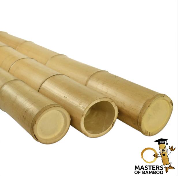 Bamboepalen en bamboestokken laagste prijs Garantie!, Ophalen of Verzenden, Nieuw, 250 cm of meer, Palen