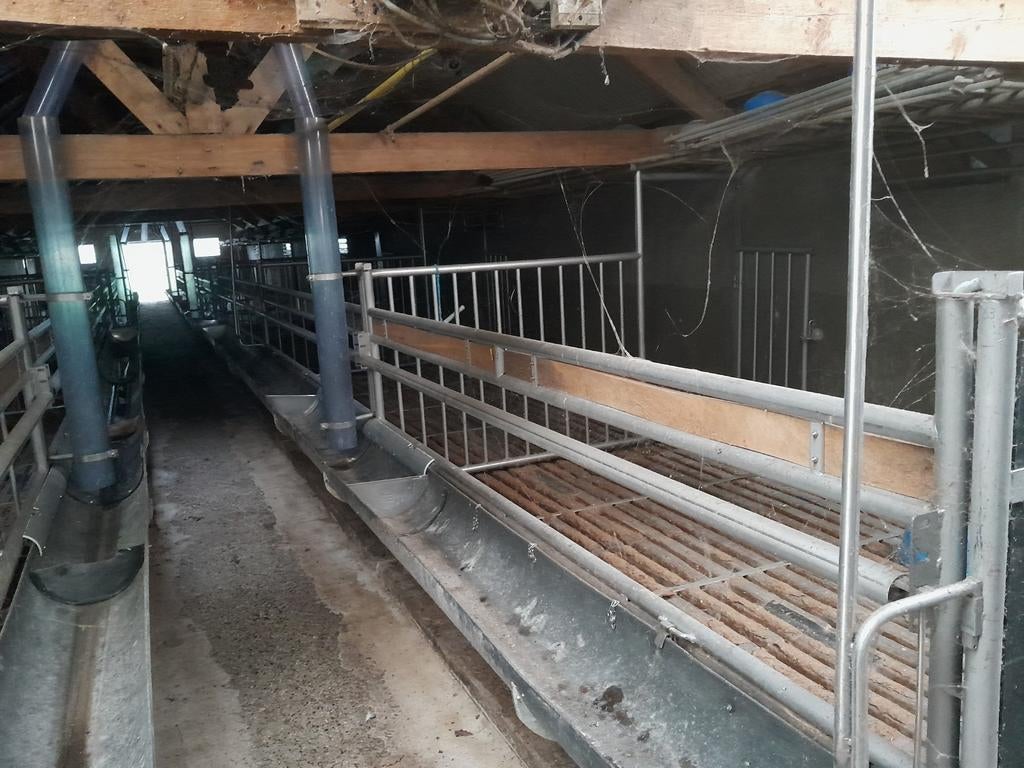 Complete kalverstal inrichting