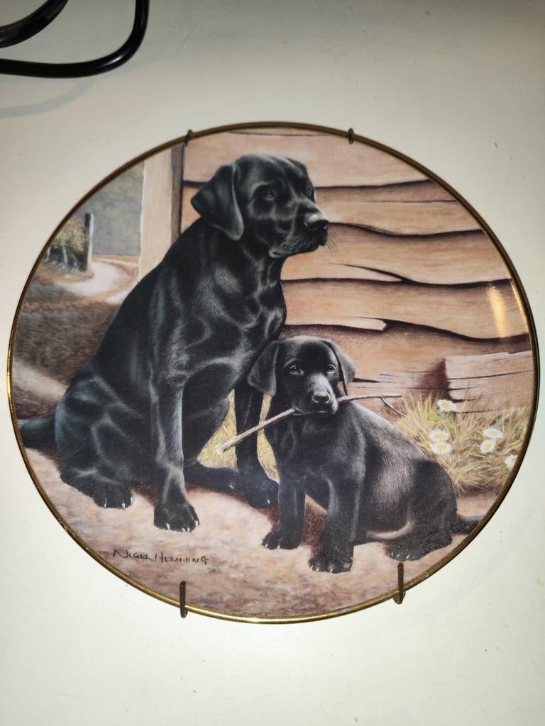 Wandbord Like father, like son, Ophalen of Verzenden