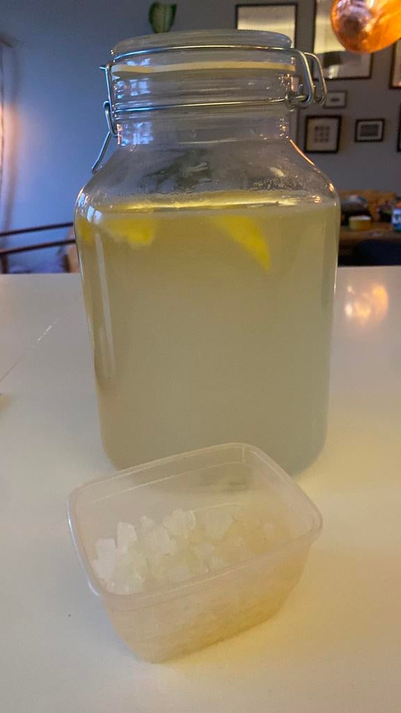 Verse waterkefir korrels, Ophalen