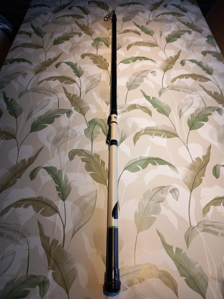 Mitchell Epic forel hengel tekoop., Watersport en Boten, Hengelsport | Roofvissen, Ophalen of Verzenden, Zo goed als nieuw, Werphengel