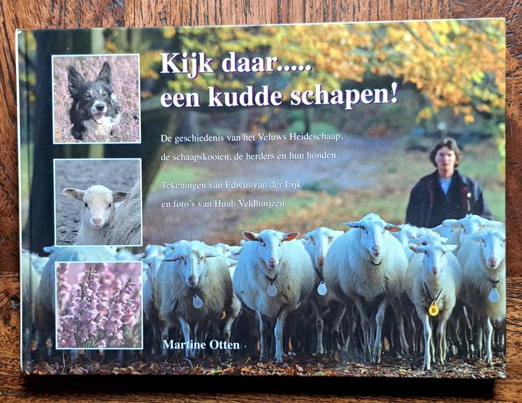 Kijk daar een kudde schapen Geschiedenis Veluwse heideschaap, Martine Otten, Nieuw, Ophalen of Verzenden, Overige onderwerpen