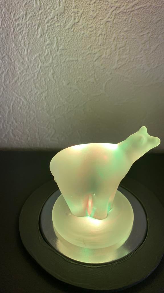 IJsbeer op voet, Ophalen of Verzenden