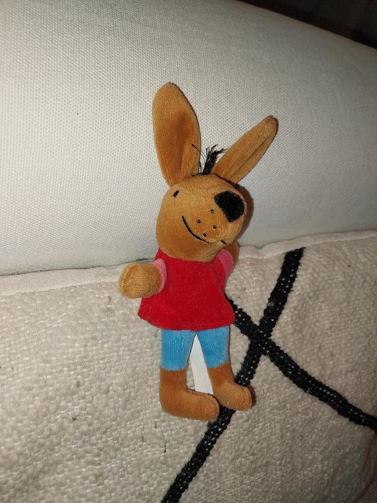 Kikker en zijn vriendjes haas vingerpopje, Ophalen of Verzenden, Zo goed als nieuw, Kikker