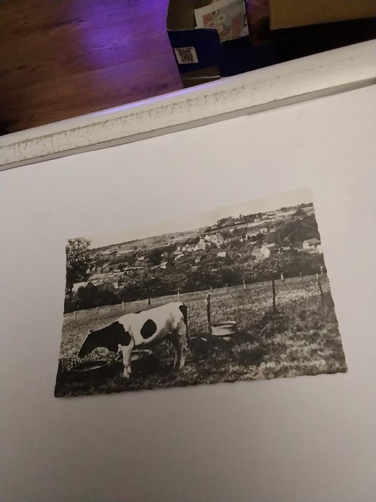 SCHIN OP GEUL. MOOI LIMBURG, Ophalen of Verzenden, Limburg