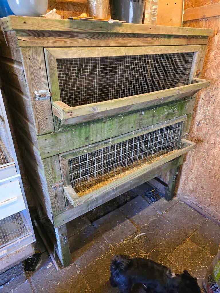 Dubbel konijnenhok/konijnenflat, Dieren en Toebehoren, Knaagdieren en Konijnen | Hokken en Kooien, Ophalen, 90 cm of meer, Konijn