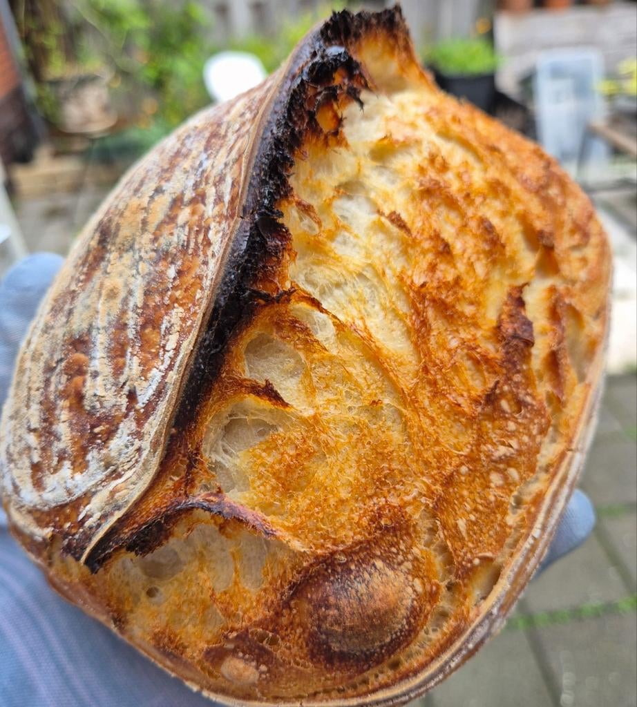 Ambachtelijke zuurdesembrood, Ophalen of Verzenden