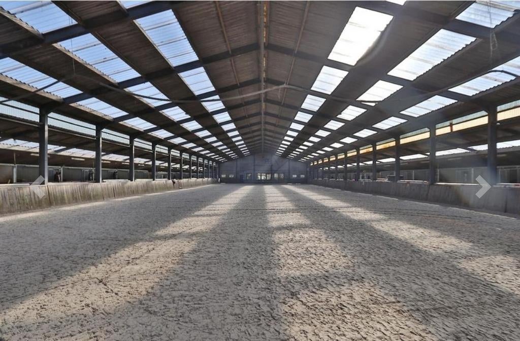 PLEKJES VRIJ OP GEZELLIGE PENSIONSTAL!, Dieren en Toebehoren, Stalling en Weidegang, Stalling, 4 paarden of pony's of meer