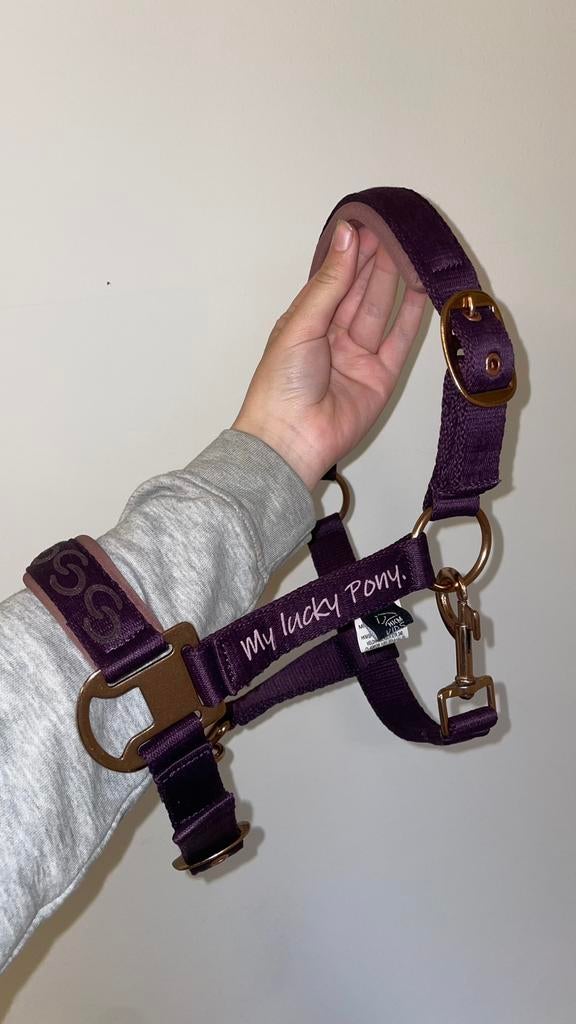 ‘miniature’ shetland halster, Ophalen of Verzenden, Zo goed als nieuw, Overige soorten