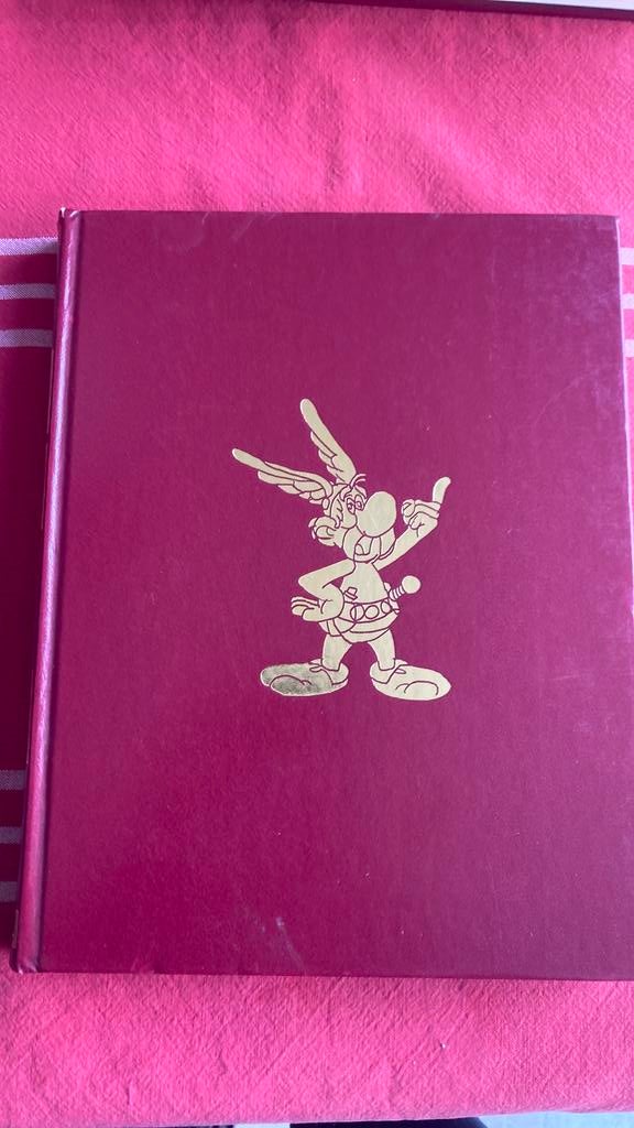 De avonturen van Asterix de Galliër, Boeken, Eén stripboek, Ophalen of Verzenden, Gelezen