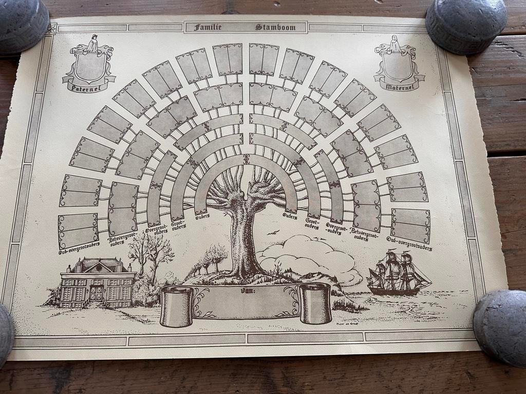 Oude Stamboom poster, Ophalen, Gebruikt, Rechthoekig Liggend, A1 t/m A3