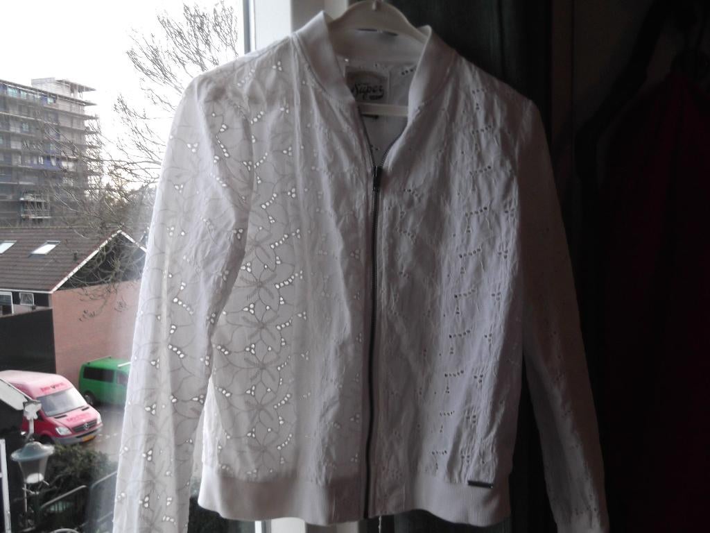 Super Dry jasje m, Ophalen of Verzenden, Zo goed als nieuw, Maat 38/40 (M)