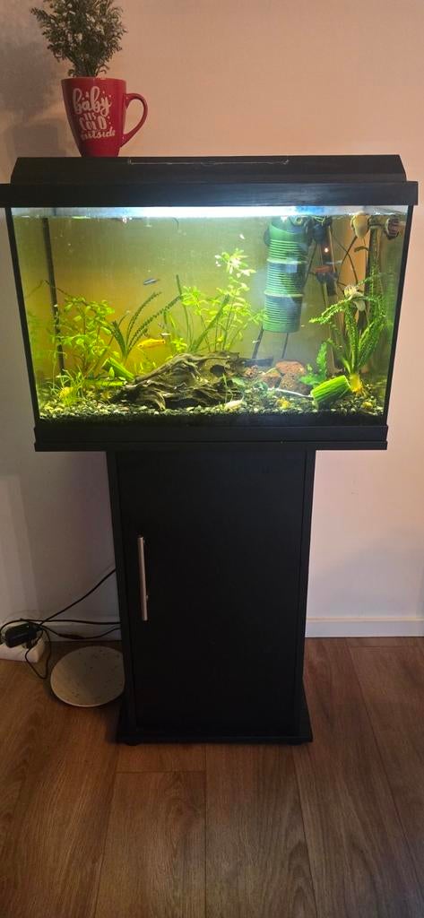 Aquarium, Ophalen, Leeg aquarium