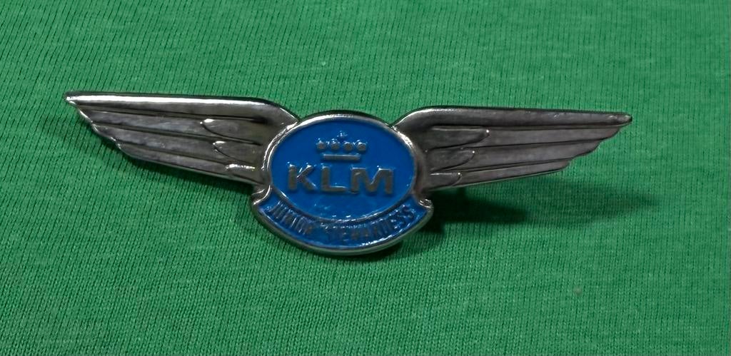 speldje/broche KLM, Ophalen of Verzenden, Zo goed als nieuw, Overige onderwerpen