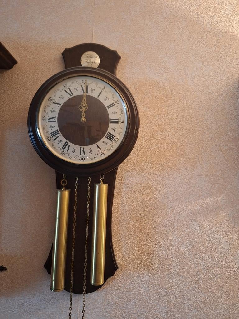 Antieke Wandklok - Tempus Fugit, Ophalen