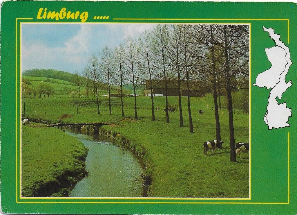 Limburg Gelopen Ansichtkaart ( B5262 ), Verzamelen, Ansichtkaarten | Nederland, Ophalen of Verzenden, 1980 tot heden, Gelopen