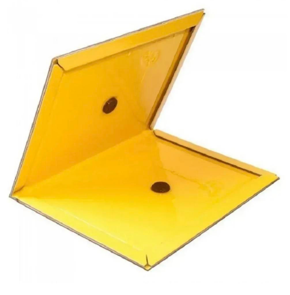 Muizen lijmplank, Ophalen of Verzenden, Overige typen