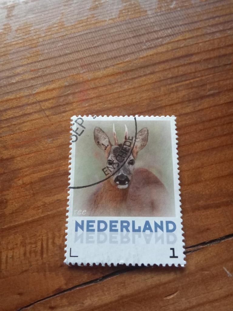 Ree, Ophalen of Verzenden