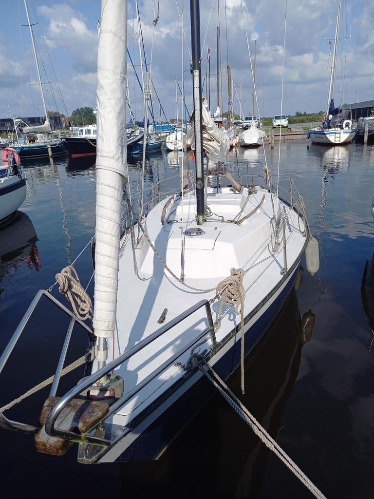 Wing 720,  stabiele zeiler in Friesland, Ophalen, Gebruikt, Tourjacht of Cruiser, 6 tot 9 meter