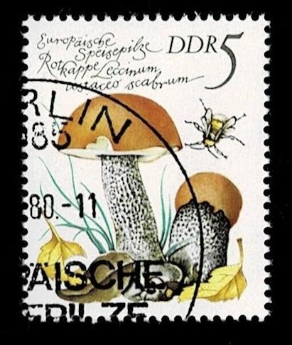 postzegel 2210 DDR paddenstoel Berkenboleet, Ophalen of Verzenden, DDR, Gestempeld