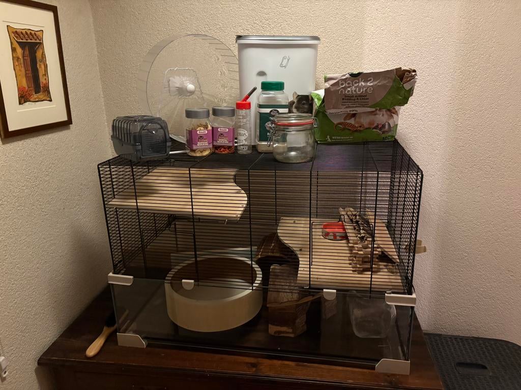 Groot Hamster hok + alle toebehoren, Dieren en Toebehoren, Zo goed als nieuw, Ophalen, Minder dan 60 cm, Hok
