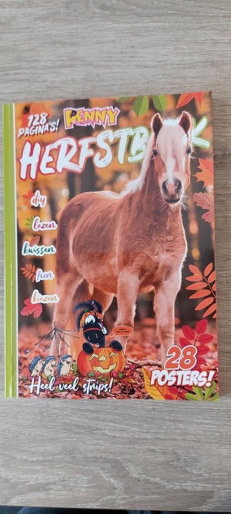 Penny herfstboek vakantieboek 1 keer gezelen!, Ophalen of Verzenden