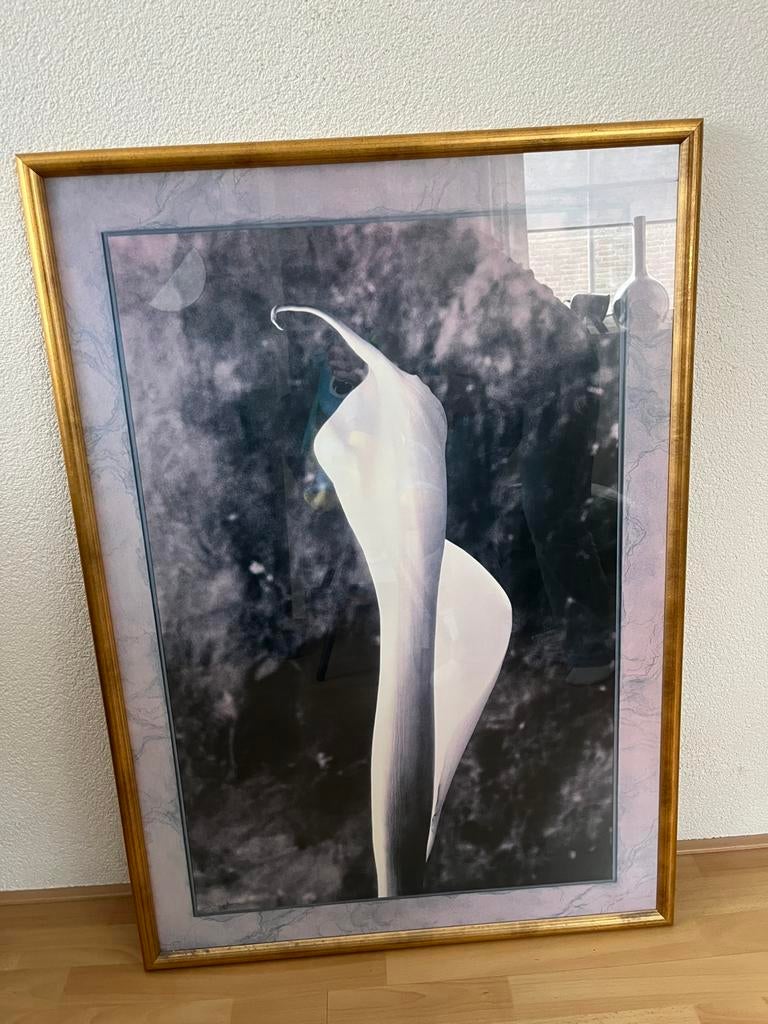 Verschillende schilderijen te koop!, Antiek en Kunst, Ophalen