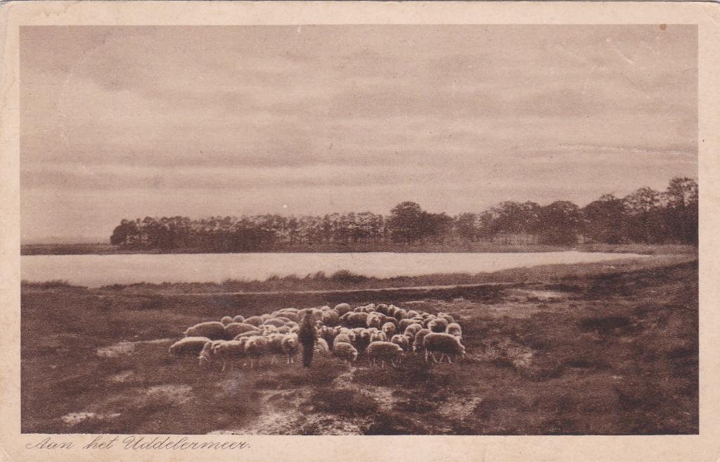 GA1035 Aan het Uddelermeer Garderen Elspeet Stroe Ugchelen, Verzenden, 1920 tot 1940, Gelopen, Gelderland