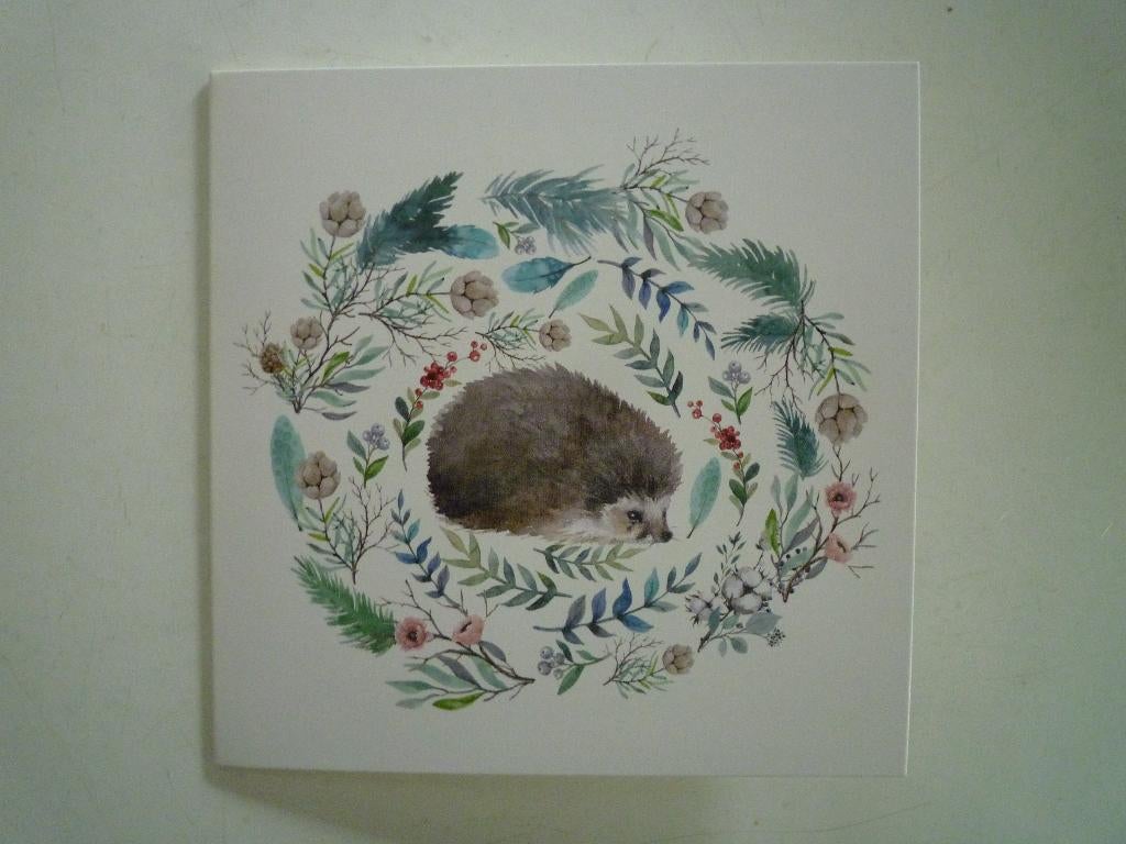 Egel egeltje, Ophalen of Verzenden, Voor 1920, Hond of Kat