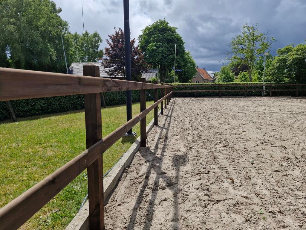 houten omheining paardenbak paddock machinaal houten hek, Weidegang, 4 paarden of pony's of meer