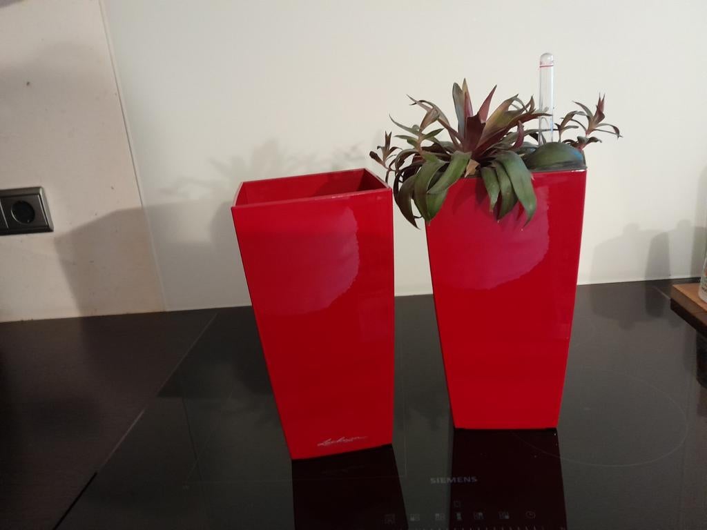 Bloem- plantenpotten LECHUZA met bewateringssysteem, Kunststof, Minder dan 30 cm, Ophalen of Verzenden, Zo goed als nieuw
