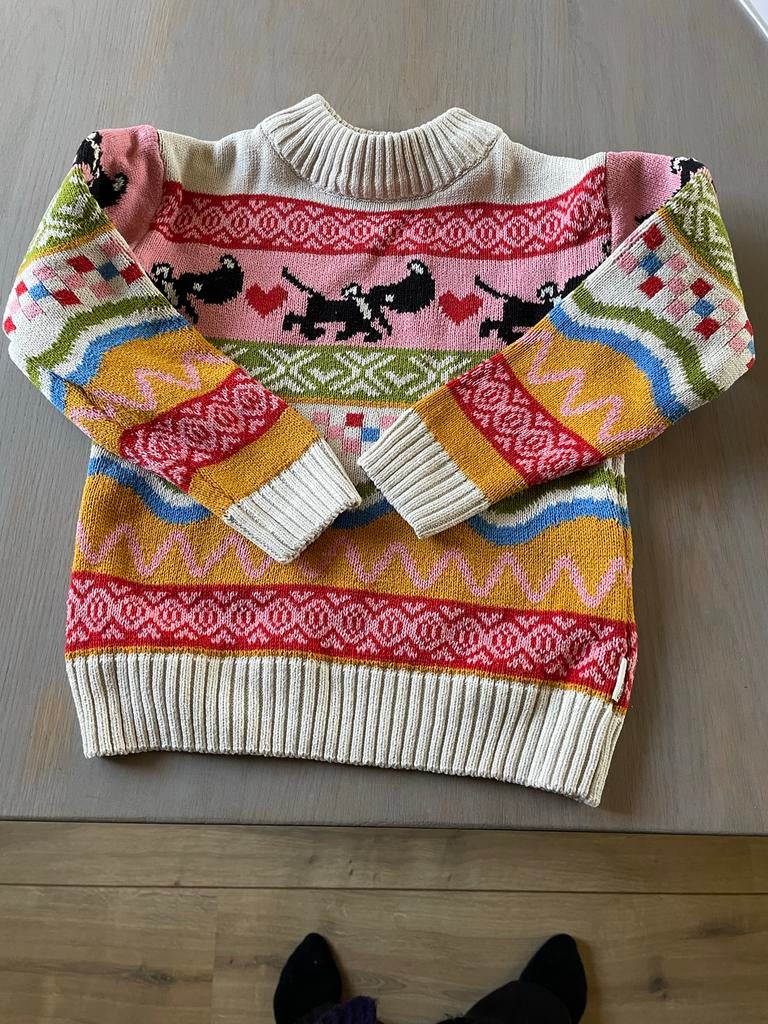 Takkie trui voor meisjes maat 110, Ophalen of Verzenden, Gebruikt, Meisje, Trui of Vest