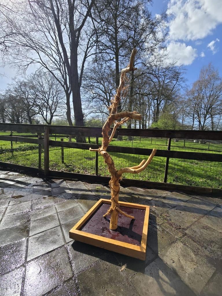 Javaboom speelboom, Ophalen of Verzenden, Metaal, Vogelkooi