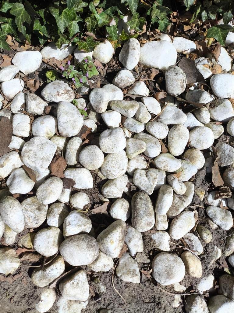 Grote witte stenen gratis, Tuin en Terras, Grind, Keien en Split, Ophalen, Gebruikt, Wit, Kei