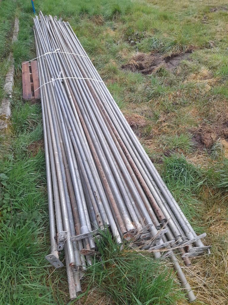 Buis verzinkt, Dieren en Toebehoren, Schapen, Geiten en Varkens, Geslacht onbekend, Varken