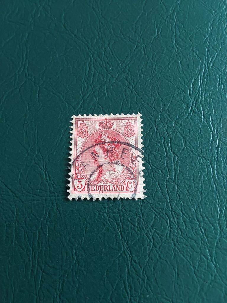 Nvph 60. Koningin Wilhelmina bontkraag,. Gestempeld  Panheel, Ophalen of Verzenden