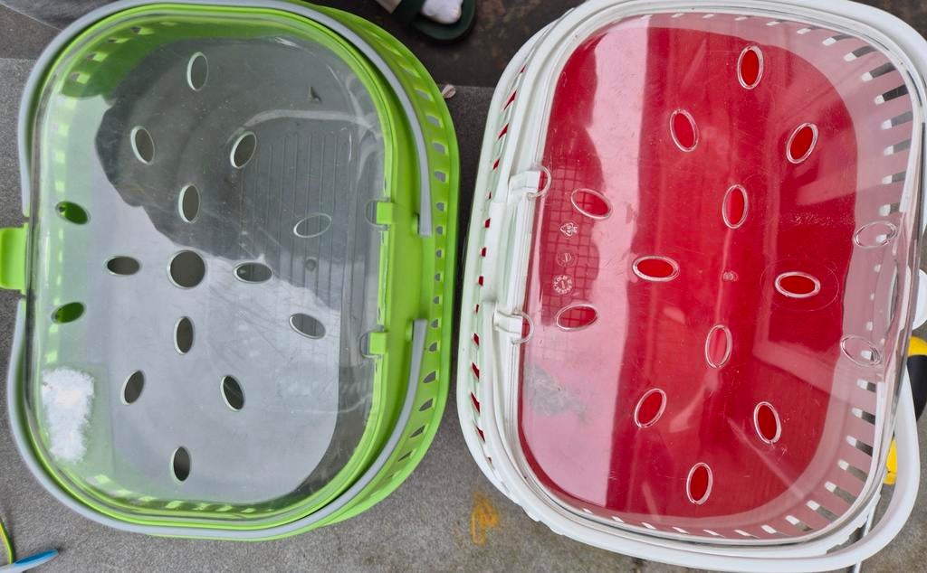 2 reismanden klein knaagdier, Dieren en Toebehoren, Ophalen