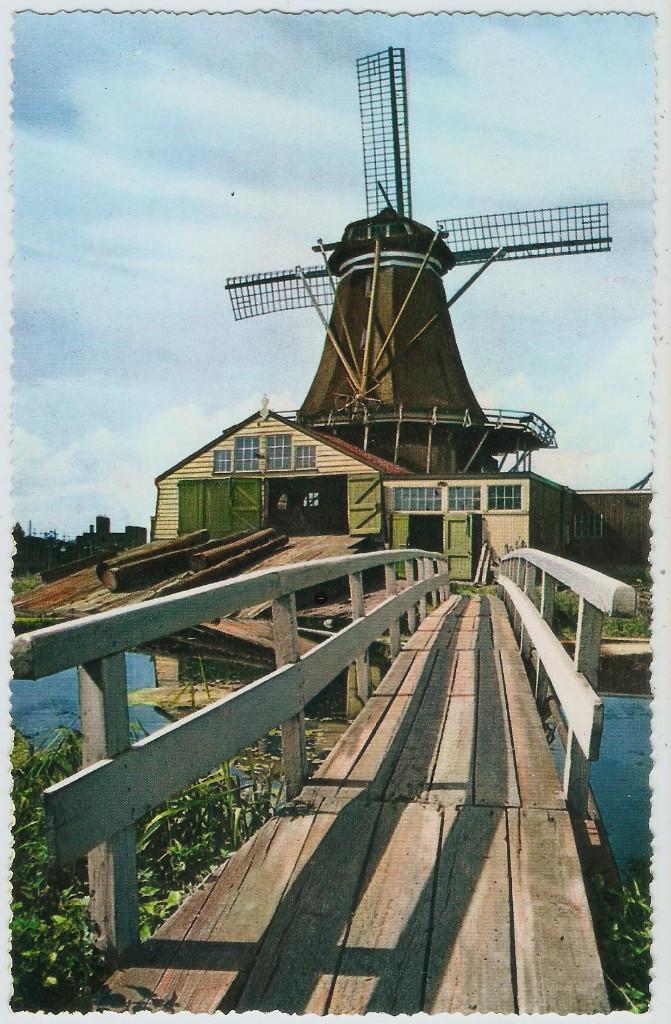 Houtzaag molen De Herder Leiden kleur ca. 1960, Ophalen of Verzenden, 1960 tot 1980, Ongelopen, Zuid-Holland