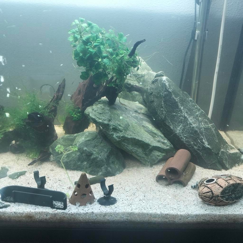 Aquarium inrichting, Dieren en Toebehoren, Vissen | Aquaria en Toebehoren, Ophalen of Verzenden, Plant(en), Steen of Hout