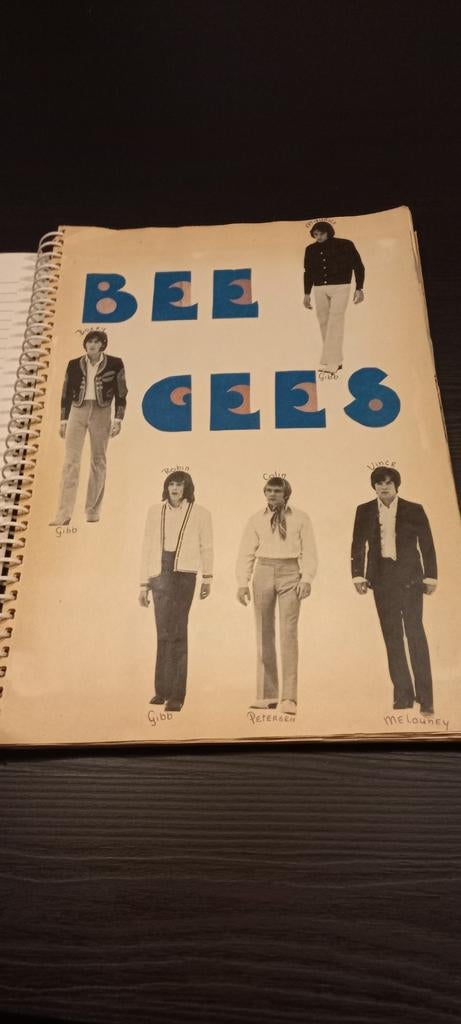Plakboek Bee Gees jaren 60, Ophalen of Verzenden, Gelezen, Artiest